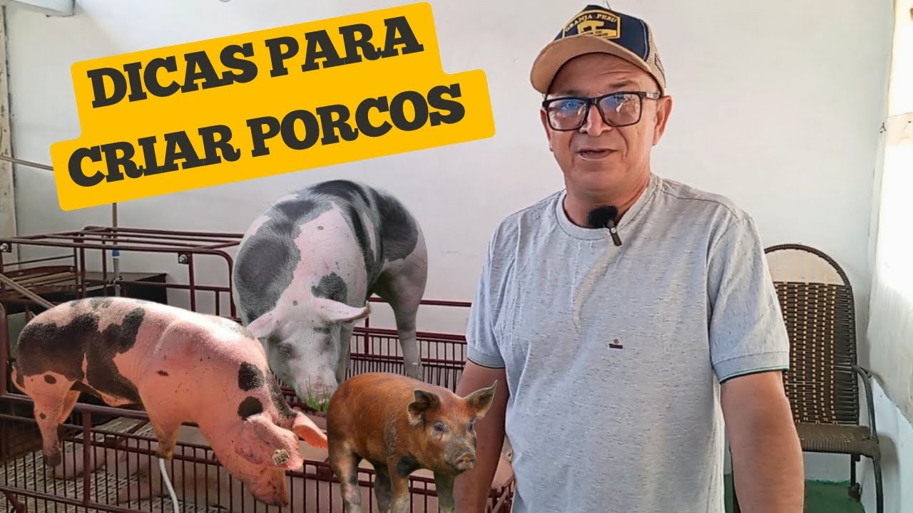 ELE ERA CARPINTEIRO E HOJE TEM A MAIOR GRANJA DE PORCOS DO MUNICÍPIO