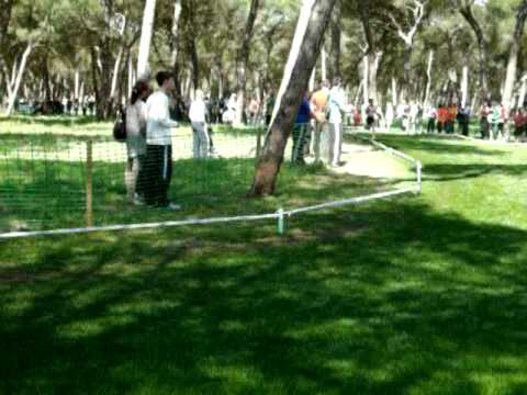 World Cross Country Championship Punta Umbria 2011 Junior Men