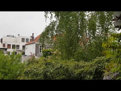 Klokken van hoop en troost. Utrecht: Augustinuskerk en Jacobikerk