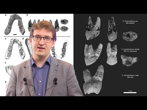 download lagu mp3 mp4 Antropogeneza Prezentacja, download lagu Antropogeneza Prezentacja gratis, unduh video klip Antropogeneza Prezentacja