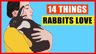 14 Things Rabbits Love the Most