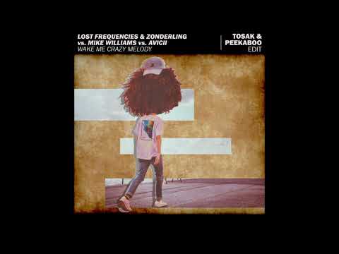 Lost Frequencies vs. Mike Williams vs. Avicii - Wake Me Crazy Melody (TOSAK & Peekaboo Edit)