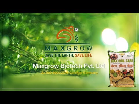 download lagu mp3 mp4 Maxgrow, download lagu Maxgrow gratis, unduh video klip Maxgrow