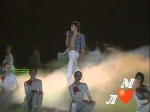 Белые Розы 10h