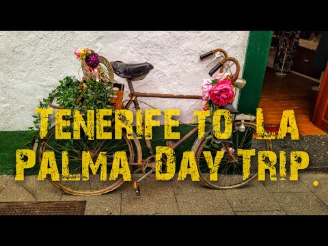 Tenerife to La Palma day trip.