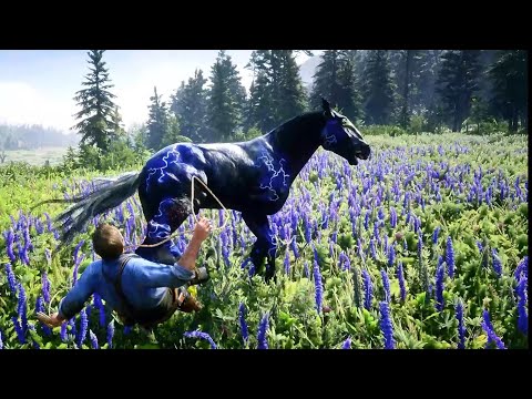 Arthur trying to catch a best horse But... - Rdr2 Gameplay
