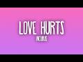 Incubus - Love Hurts (Lyrics)