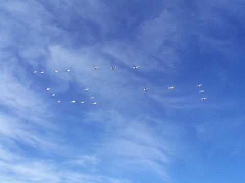 P-51's in a 51 Formation