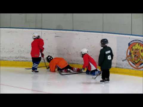 Dárius Krejčí, HC Českobudějovičtí lvi 2009, r.2011 (trénink - říjen 2017)