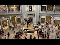 Smithsonian Museum of Natural History -Full Tour/part 2/Explore the Best Museums in Washington DC/4k