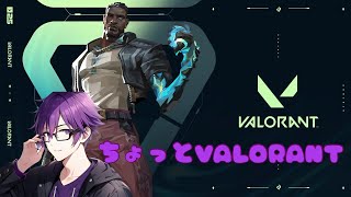 エイム矯正中ばーろ【CS版𝗩𝗔𝗟𝗢𝗥𝗔𝗡𝗧】