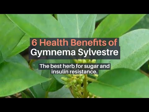 Gymnema sylvestre extract, leaf, packaging size: 1 kg to 25 ...