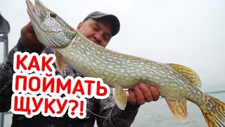 Рыбалка с юрием петрашем осень щука