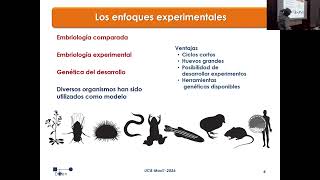 UC8 T1A Bases-Geneticas-Desarrollo-A-Principios-Generales
