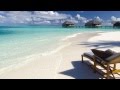 Concentrate And Study Better With This 1 Hour Long Beta Binaural Beat