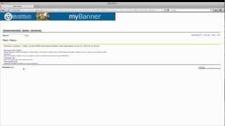 MyBanner Overview - GVSU
