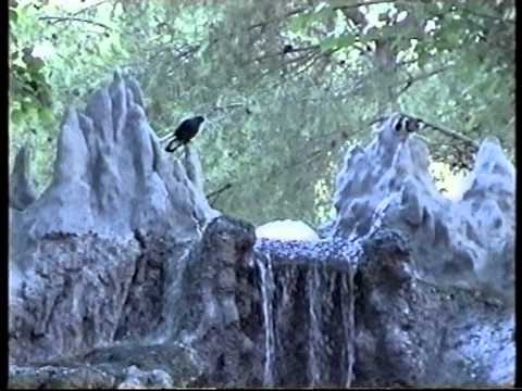 Istref Zaraj   Kur flet zemra