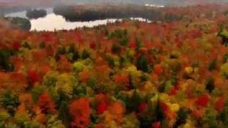 Longevity - Laughing (Regina Spektor) With Lyrics