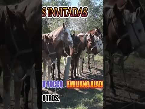Jineteada en Cavanagh el 23 de agosto de 2026