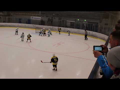 Pingviinit Kuninkaat (AA) - Pelicans Musta (AA) 2.4.2018 14:10 - 1. erä