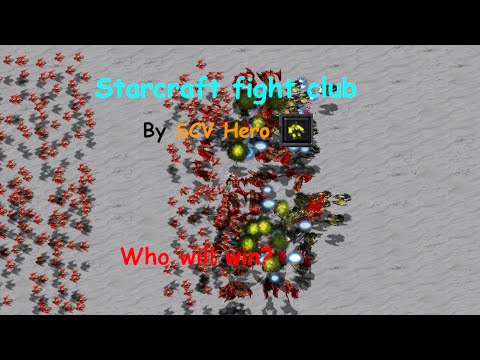 Can 50 Mutalisks take down 50 Corsairs with the help of Scourges?