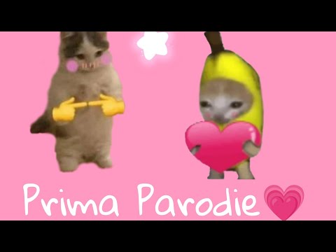 Prima parodie💗💗😱😎