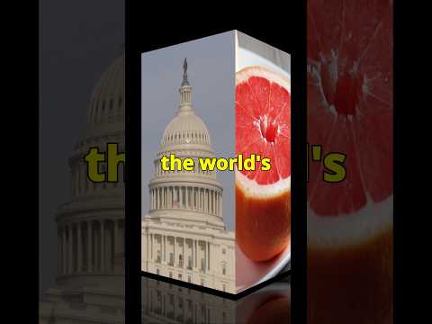 Discover Florida's Juicy Secret: The Grapefruit Capital of the World!