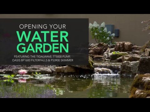 Opening Your Water Garden