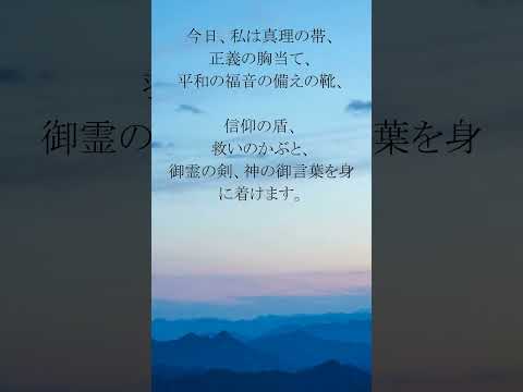 動画を再生