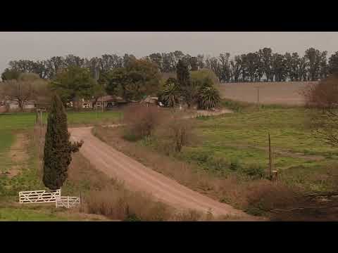 Rally Arrecifes Buenos Aires Argentina 2/6