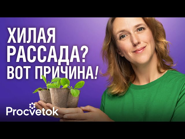 БИТВА ГРУНТОВ: в каком из 5 рассада НЕВЕРОЯТНАЯ, а в каком &ndash; жалкая?