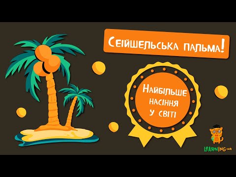 🍀 Дива природи. Явища навколо нас. Сейшельська пальма 🌏