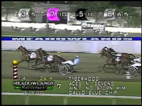 2000 Meadowlands Pace - Gallo Blue Chip & Daniel Dube