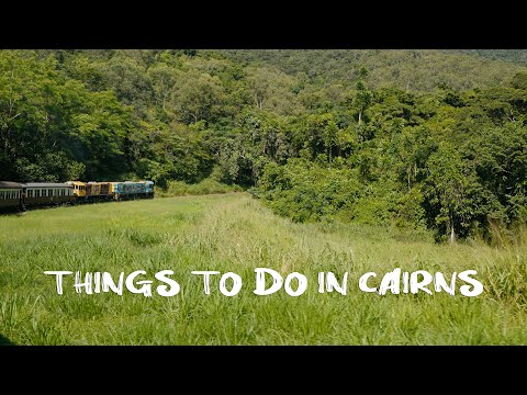 Exploring Cairns City (Kuranda Village & Cairns ZOOM & Wildlife Dome)