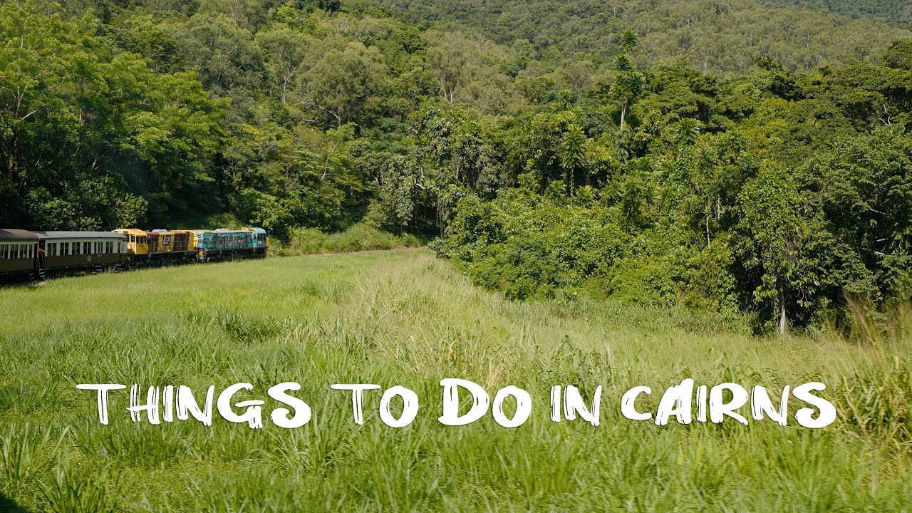 Join travelers on a visit to Cairns Zoom & Wildlife Dome.