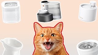 I Tested Cat Bowls and Fountains So You Don’t Have To!