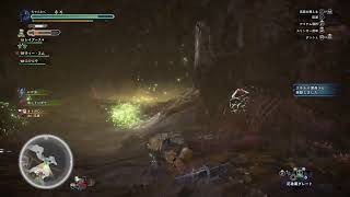 MHWｱｲｽﾎﾞｰﾝ  カガチとオドガロンいっくよー（＾＾；）