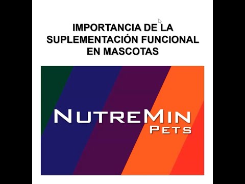 Importancia de la Suplementación en Mascotas