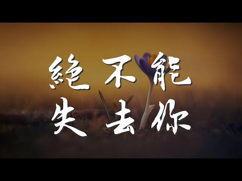 絕不能失去你 - F4『My baby baby 我絕不能失去你』【動態歌詞Lyrics】