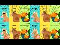 Super Simple Songs Animals Song Intro Logo Getting 999999x Speed Insane SuperSimpleSongs AnimalsSon