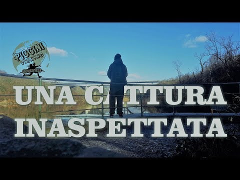 Una CATTURA inaspettata