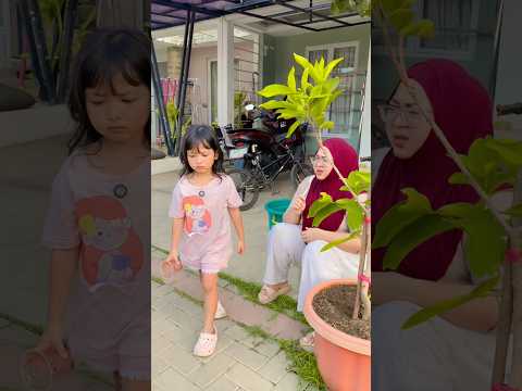 malah diabisin bupipi