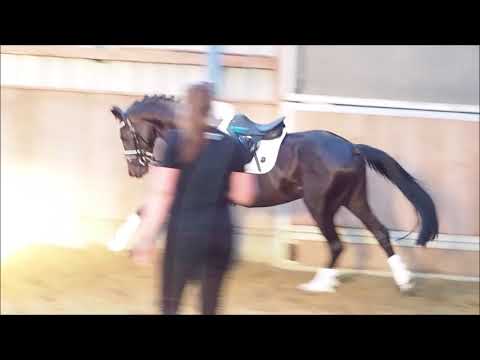 Samiro 3j OL Wallach