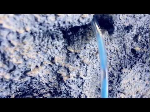 Electrophelia - Lost in Google ( Official Video )