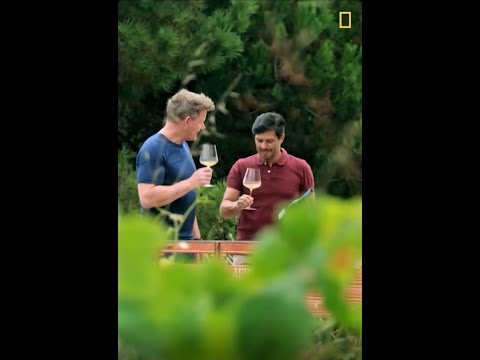 Gordon Ramsay: Uncharted | Hélder Cunha Winemaker - Powered by Casca Wines