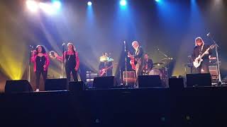 4  Paul Kelly   Rising Moon