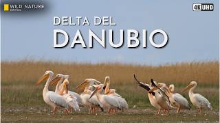El Paraíso Oculto en Europa que Casi Nadie Conoce | Documental 4K UHD