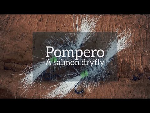 Pompero - Salmon dry fly