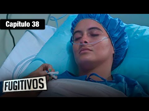 Fugitivos - Cap 38 - Acción y Narcos - Serie completa en español - HD