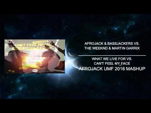 What We Life For vs. Can't Feel My Face (Afrojack UMF Mashup)